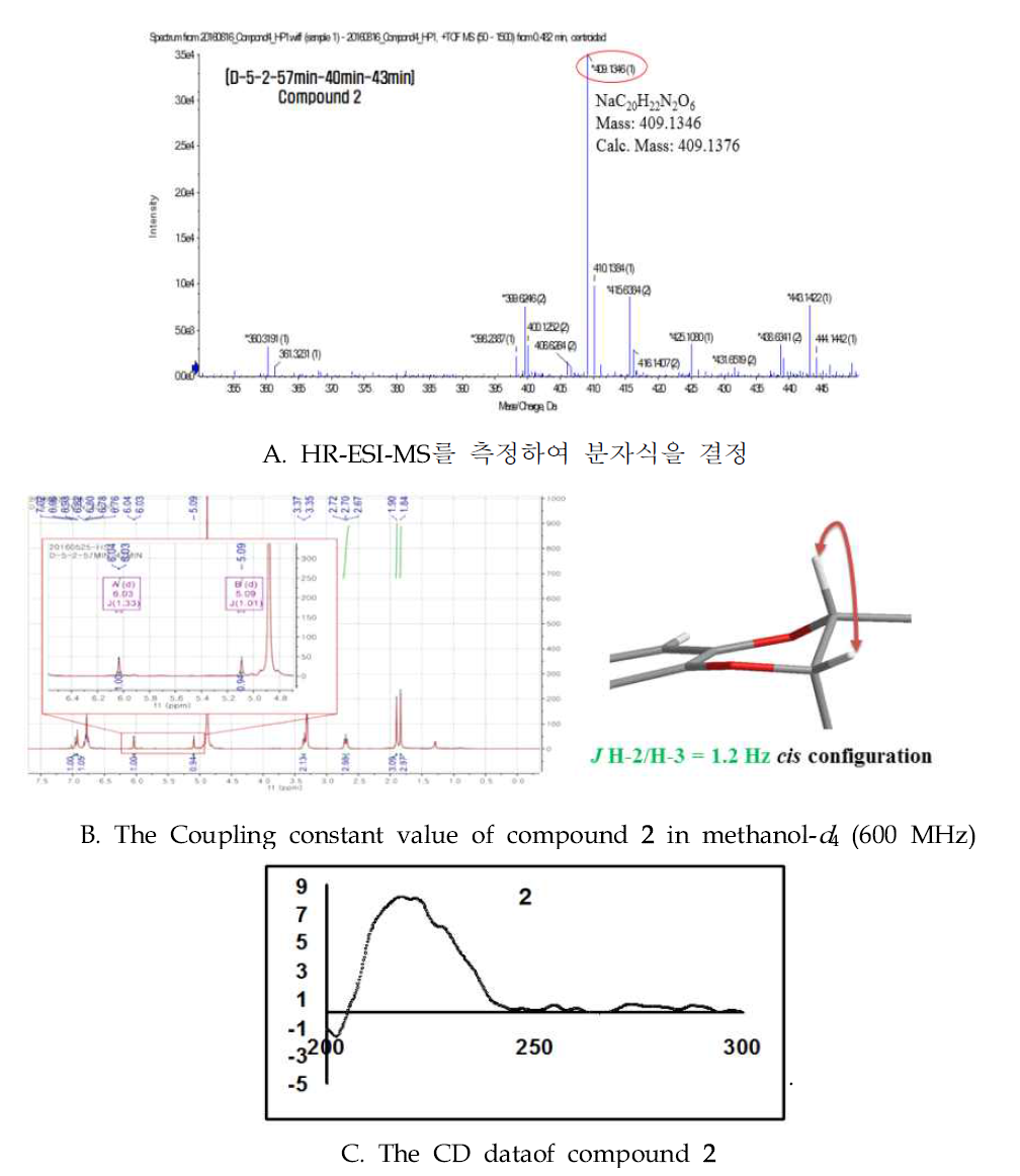 신규화합물 2의 분자식 결정(A), 절대구조 결정(B), 비선광도 값 측정(C)