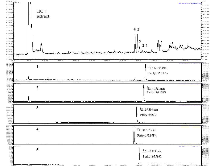 HPLC-ELSD 분석을 통해 화합물 1-5의 purity 확인 및 fingerprint