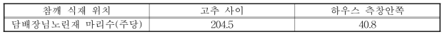 고추재배하우스에서 참깨식재위치에 따른 참깨 발생 담배장님노린재 밀도(2017)