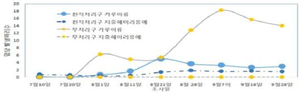 천적 지중해이리응애 소형팩 2회 설치(6월 30일, 8월 10일)에 의한 담배가루이 밀도 변화(2017)