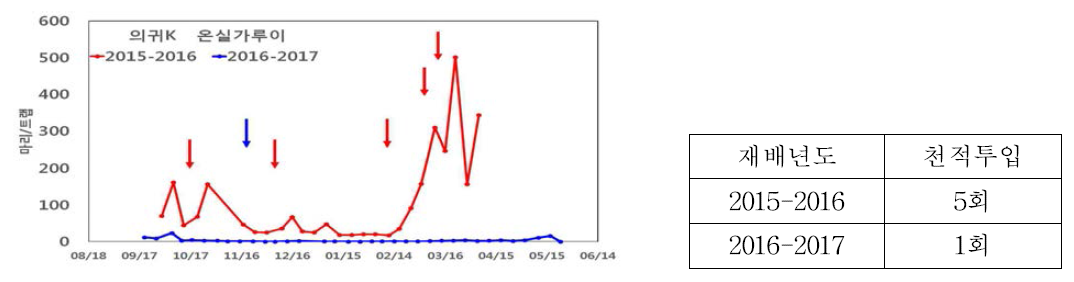 의귀K 포장 온실가루이 발생 및 온실가루이좀벌 투입 현황