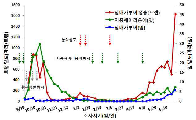 천적과 약제를 이용한 담배가루이 방제효과(2017)