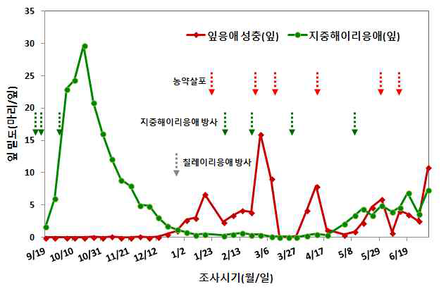 천적과 약제를 이용한 잎응애 방제효과(2017)