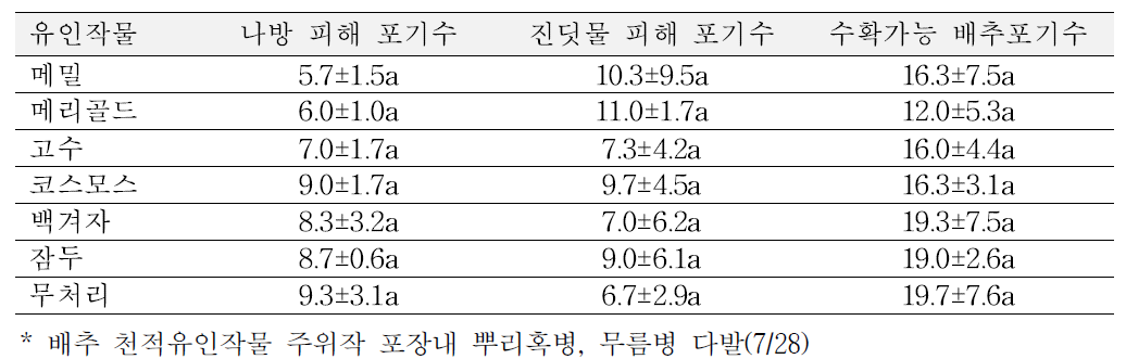 천적 유인작물 간작에 따른 배추의 해충 피해정도 및 수확량