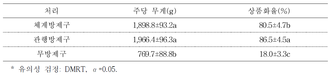 처리별 고랭지배추 주당무게 및 상품화율 비교