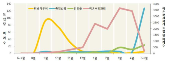 황색끈끈이트랩조사에 의한 밀도변화