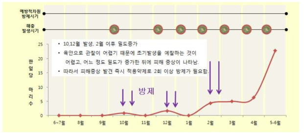 잎 들깨 재배농가에서 차먼지응애 방제시기