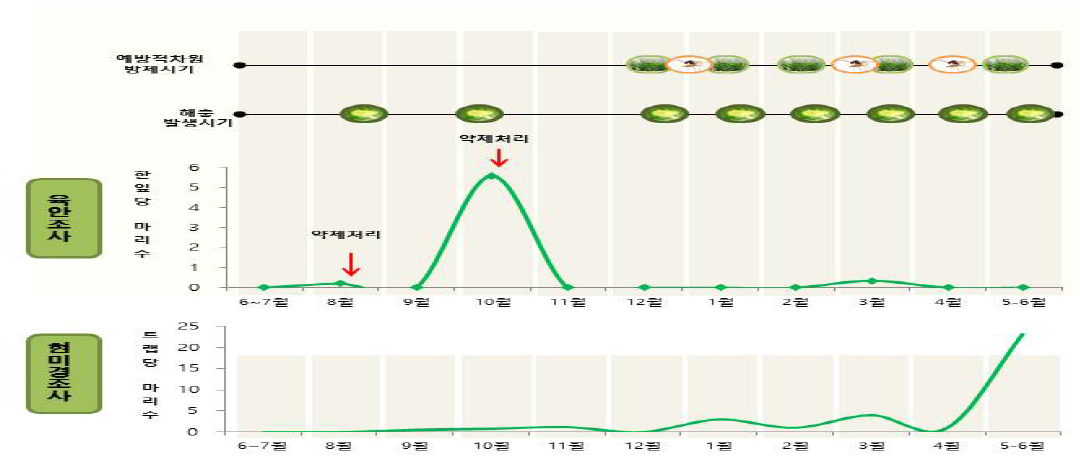 들깨진딧물 약제방제 및 천적유지식물 사용시기