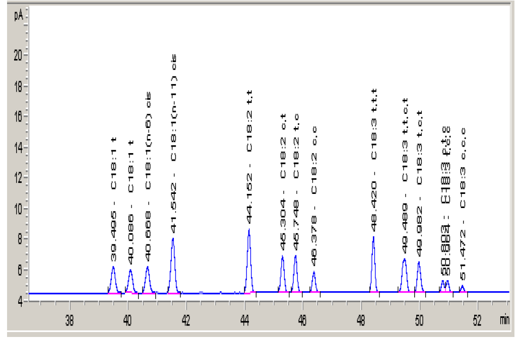 C18 isomer 표준용액의 크로마토그램