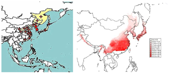 현재 보고된 복숭아심식나방의 분포도 (좌측) 및 CLIMEX simulation에 의한 정착 적합지역 예측 결과(우측)