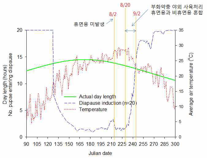 왕담배나방 광길이별 휴면율과 온도의존 최대휴면율 곡선(2013 포장자료 : Jung et al., 2015)