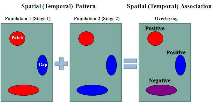 SADIE Spatial association개념도. 각 종별 혹은 시기적 지수가 서로 일치(patch-patch 혹은 gap-gap)하는가 혹은 반대(gap-patch)되는가에 따라 양(positive) 혹은 음(negative)의 공간관계지수가 도출된다