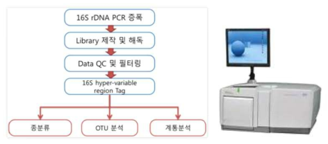 16S rDNA metagenome sequencing