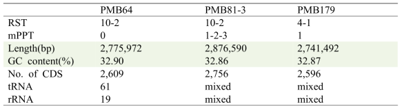 General genomic features of S. aureus isolates from bovine mastitis