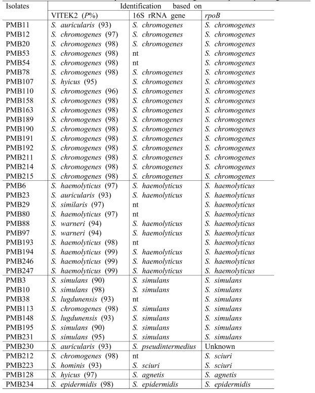 Identification of CNS by VITEK2, 16S rRNA gene and rpoB sequencing