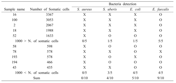 Molecular detection of major mastitic bacteria in raw milk specimens