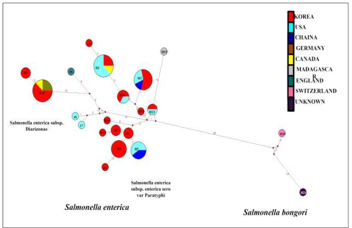 지역별 살모넬라 haplotype들의 분포 경향
