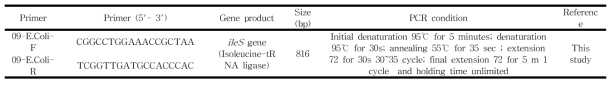 STEC의 ileS gene을 증폭을 위한 primer와 PCR 조건