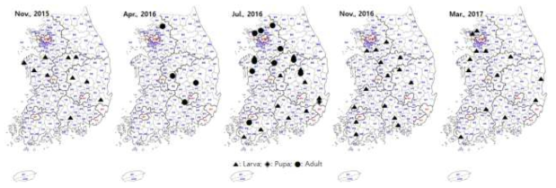 Occurrence patterns throughout the year of Attagenus unicolor japonicus using the corrugated trap in Rice Processing Complexes (RPCs)