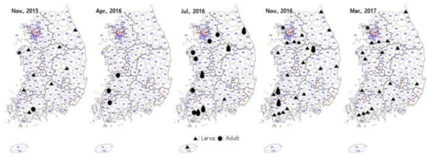 Occurrence patterns throughout the year of Tenebrio obscurus using the corrugated trap in Rice Processing Complexes (RPCs)