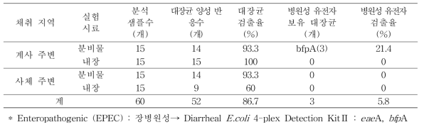 파리류의 토사물 및 장내에서 대장균 및 병원성유전자 검출율