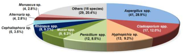 The percentage distribution of different fungal isolates from Tribolium castaneum