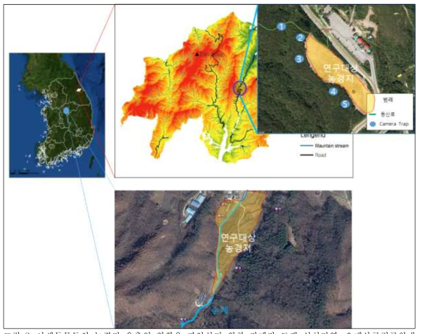 야생동물들의 농경지 유출입 현황을 파악하기 위한 카메라 트랩 설치지역. 오대산국립공원내 농경지(좌상)와 충북 괴산 농경지(아래)