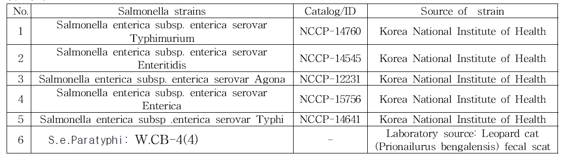 개발한 SNP primer set 및 SNP multiplex PCR 키트의 효용성 검증을 위해 사용한 균주의 출처 및 목록