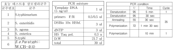 SNP마커부위를 증폭하기 위해 디자인한 15개의 primer set들의 테스트에 이용할 균주들 및 PCR 조건