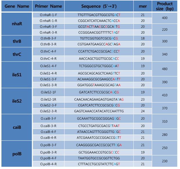 대장균 SNP 마커 정보. 정방향 혹은 역방향의 3’-end 말단 SNP sequence(red color), 3’-end transversion 서열(blue color)로 전환(*Red color : natural SNP, Blue color : artificial SNP by transversion mutation)