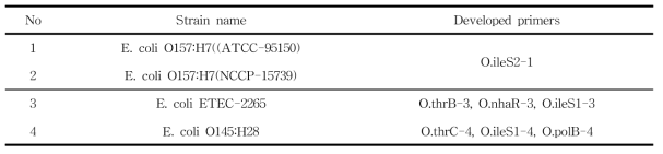 E. coli stain-specific SNP primer list