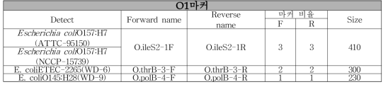 SNP multiplex PCR키트 개발을 위한 primer 조성