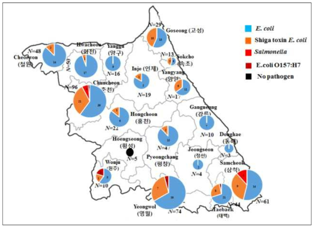 강원도 시군별 pathogen의 분포현황