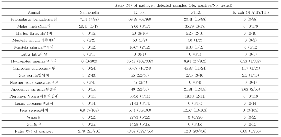 총 756개 샘플 중 살모넬라, E. coli, STEC, E. coli O157:H7가 탐지된 배설물 비율