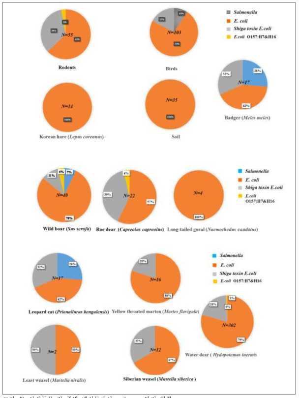 야생동물 각 종별 배설물에서 pathogen 탐지 현황