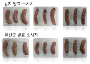 김치 발효소시지와 유산균 발효소시지 제품 사진