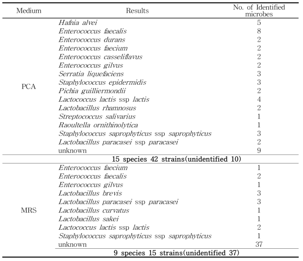 Isolation and identification of microbes from European cheeses