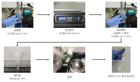 돌연변이성 실험을 위한 시료 추출 모식도