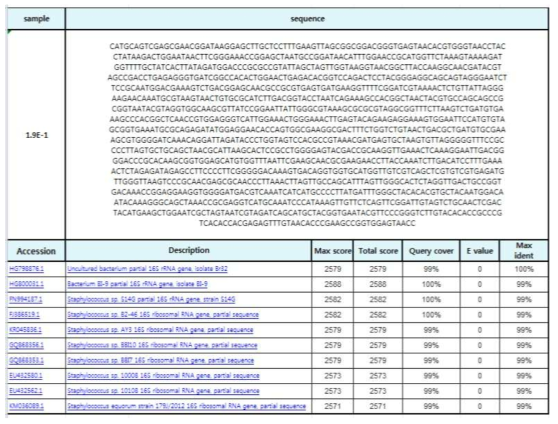 DNA sequence of T2