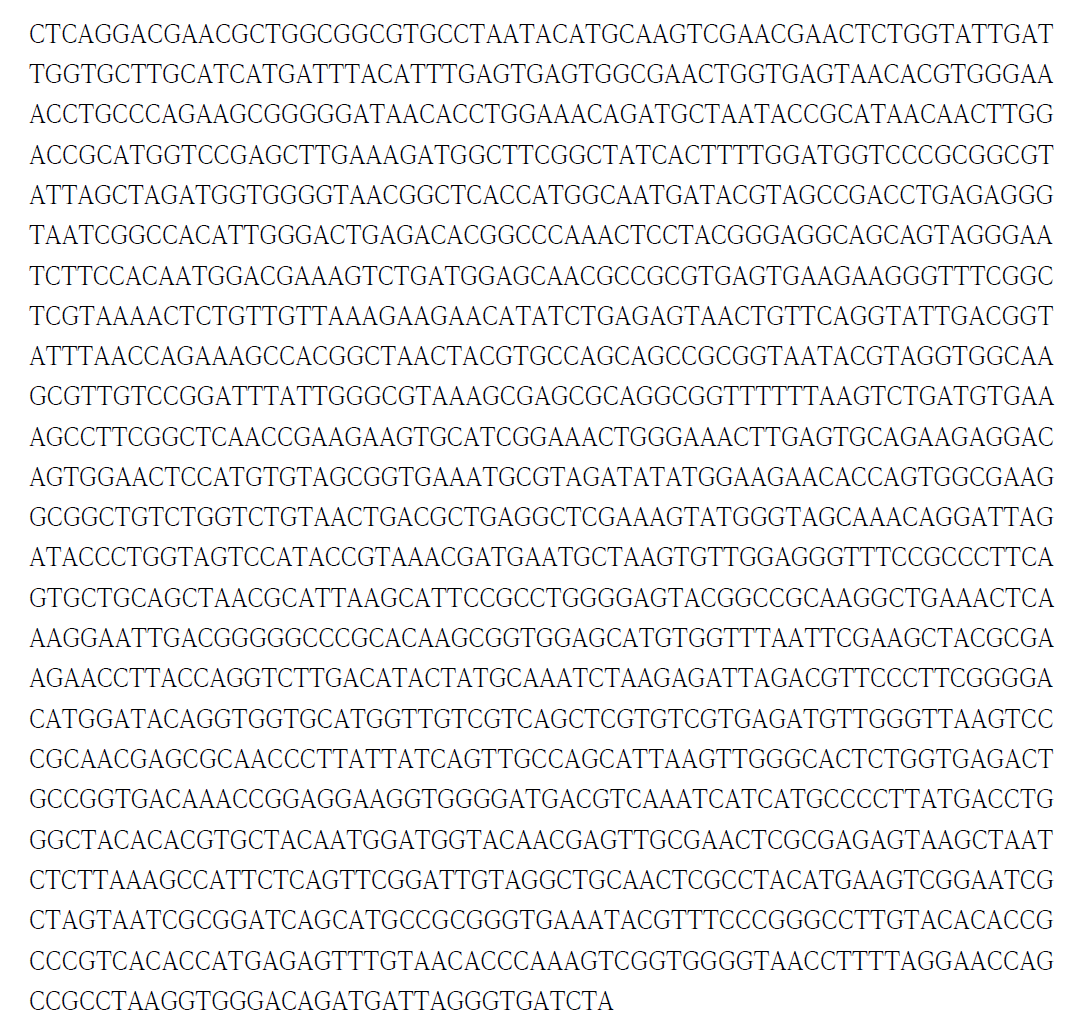 16S rRNA sequence of L. plantarum isolated from fermented sausage