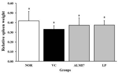 Effect of sausage containing lactic acid bacteria on spleen weight in ICR mice