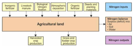 토양 표면 N균형의 주요 요소들 (OECD, 2001a)