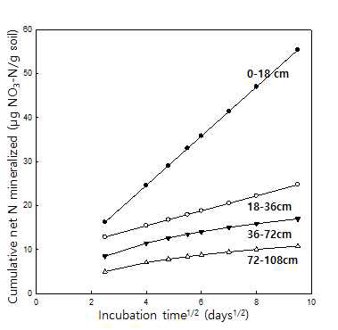 시간경과에 따른 토양내 NO3-N의 누적량