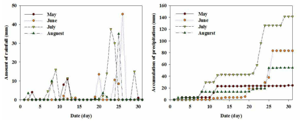 관행 포장 일일 강수량 및 누적강수량(2015년 5월∼8월)