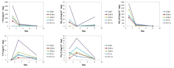 질소 및 인 거동특성 비교