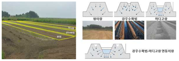 유거와 침식방지 강우수확법과 마디고랑 시험포장 전경