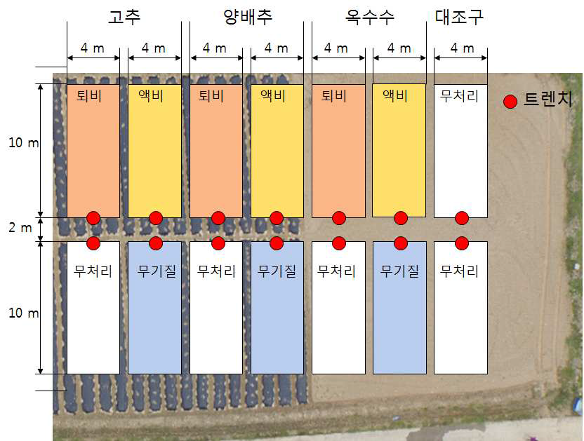 2차년도 충남대학교 시험 처리구 모식도