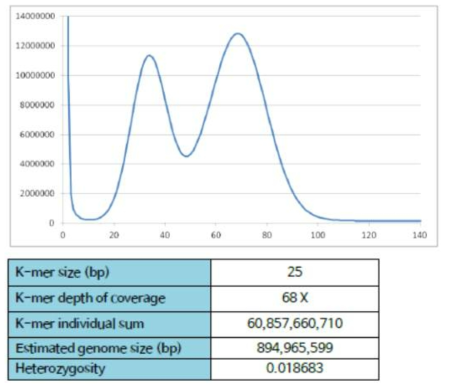 K-mer analysis