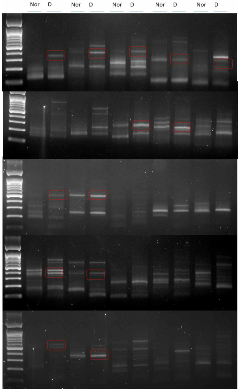 DD-PCR; 건강충 vs 질병충