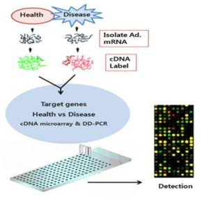 cDNA customized chip concept